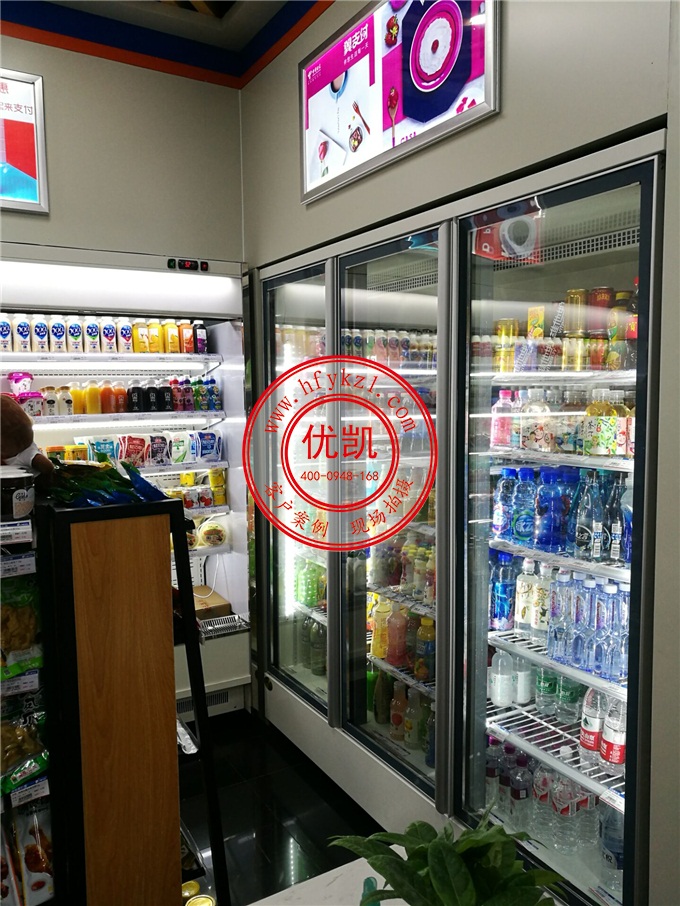 三門(mén)便利店冷柜