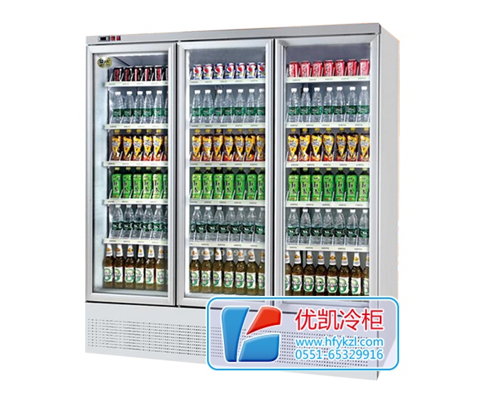 三門整機風冷飲料展示柜（底置壓縮機）