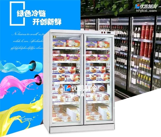 兩門便利店冷柜（外置機(jī)）
