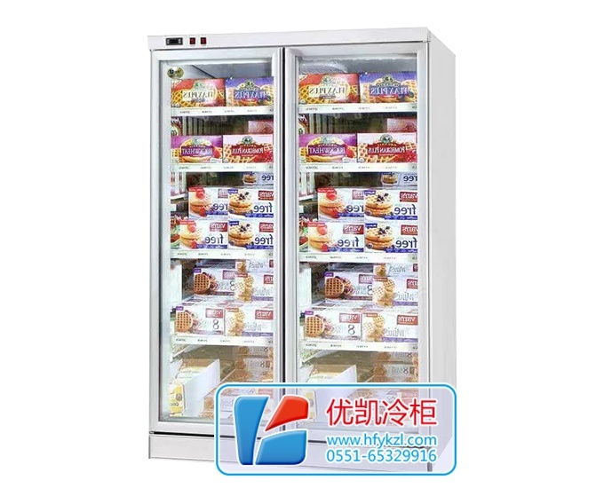 兩門便利店柜（外置機(jī)）