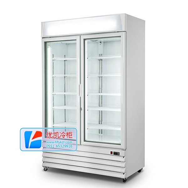 低溫冷凍雙門(mén)冰淇淋展示柜