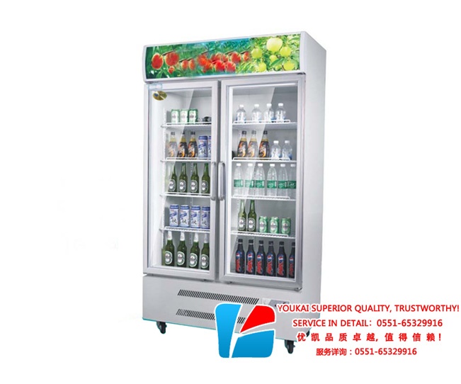直冷雙門(mén)風(fēng)冷啤酒冷藏展示柜