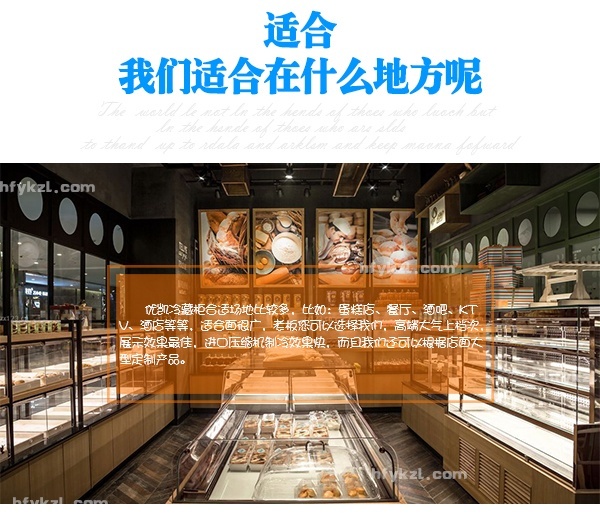 16DGA豪華不銹鋼蛋糕柜-分類頁面