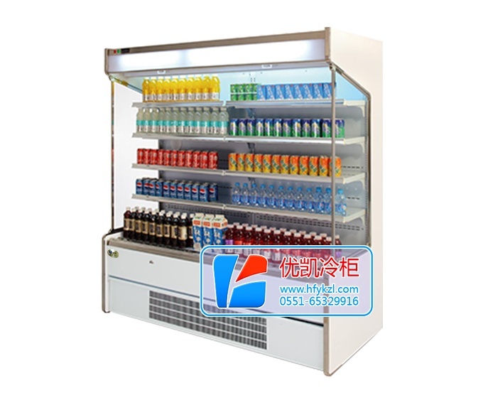 BF-17標準型風(fēng)幕柜