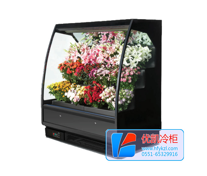 敞口鮮花風幕柜
